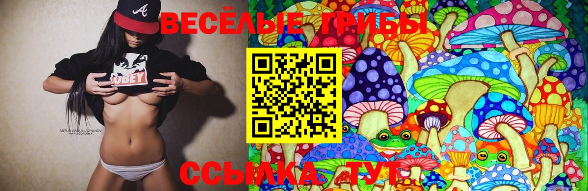 Галлюциногенные грибы Cubensis Барнаул